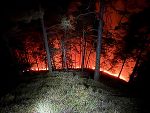 Eine Silvesterrakete war Ursache des Waldbrandes in Semriach. 