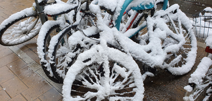 Sicher durch den Winter